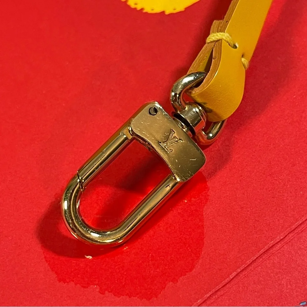 Louis Vuitton Pochette 12